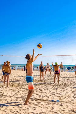 Волейбольная площадка