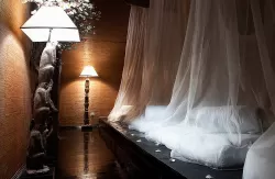 SPA-процедуры