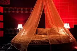 SPA-процедуры