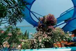 Территория