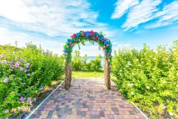 Территория