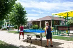 Настольный теннис Настольный теннис