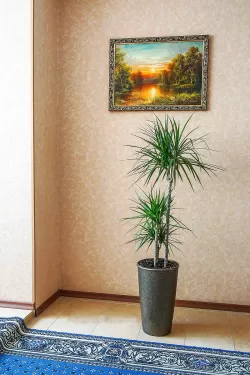 Территория