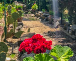 Территория