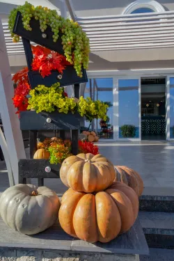 Ресторан «Посейдон» у моря