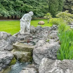 Территория