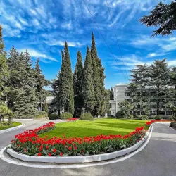 Территория