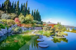 Японский сад