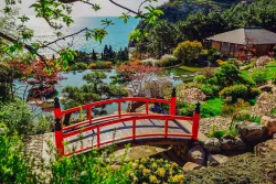 Японский сад