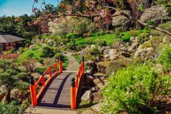 Японский сад