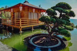 Японский сад