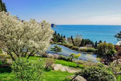 Японский сад