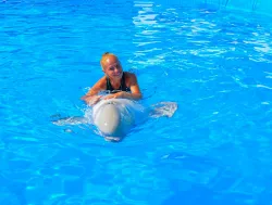 Дельфинарий «Flipper»