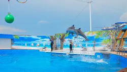 Дельфинарий «Flipper»