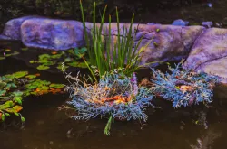 Народные гуляния на Ивана Купала