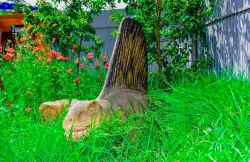 Парк динозавров «Затерянный мир»