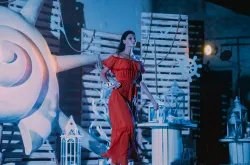 Развлечения