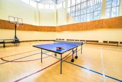 Настольный теннис