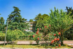 Территория