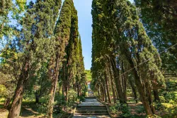 Территория