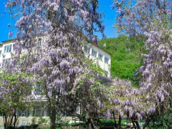 Территория