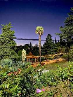 Территория