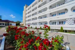 Территория