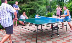 Настольный теннис