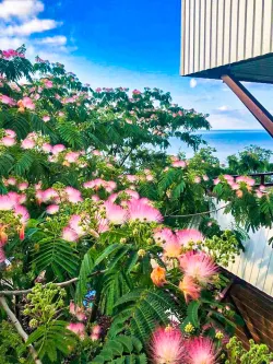 Территория