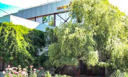 Территория