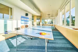 Настольный теннис