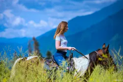 Конные прогулки