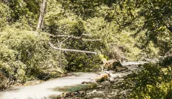 Терренкуры