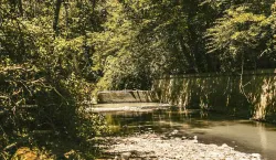 Терренкуры