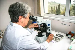 Лечебные процедуры