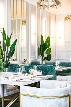 Ресторан «Gastro-Solo»