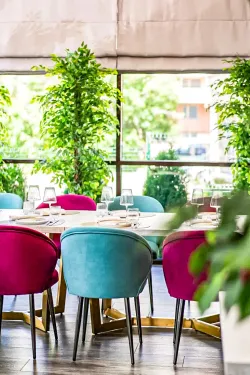 Ресторан «Gastro-Solo»