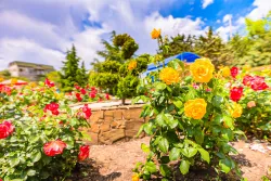 Территория