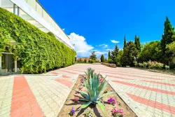 Территория