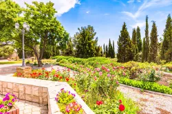 Территория