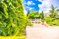 Территория