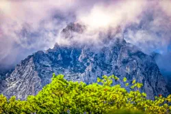 Территория