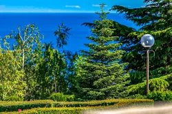 Территория