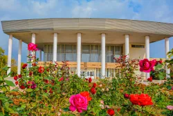 Территория