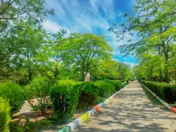 Территория