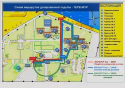 План-схема территории