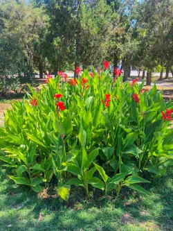 Территория