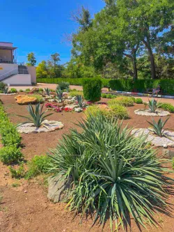 Территория