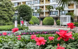 Территория