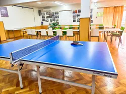 Настольный теннис